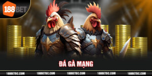 ảnh đại diện đá gà mạng 188bet